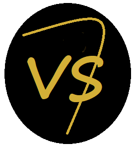 VS Softwareentwickldung